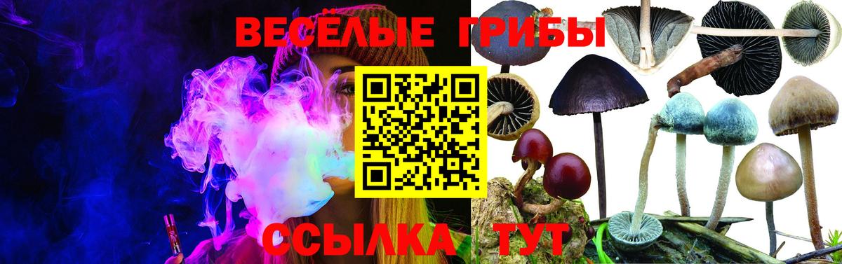 Псилоцибиновые грибы мицелий  Вход с VPN  Михайловка 